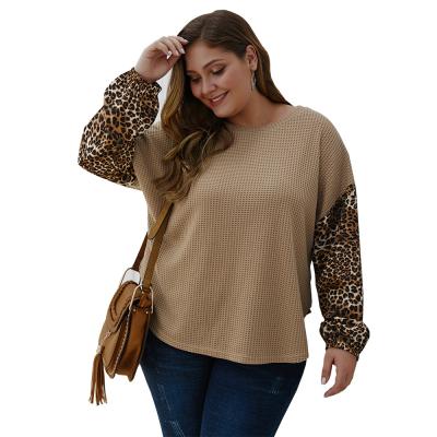 China Breathable Leopard Print Patchwork Sweater Long Sleeve Top Autumn New Plus-size Women's Stable for sale