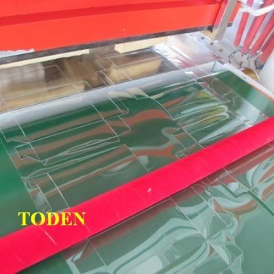 China Hydraulic Fold And Die Cut Soft Line PET Boxes Factory Machine for sale