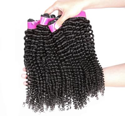 China Yvonne Curl Virgin Human Hair Double Weave Real Kinky Curly Extension Brazilian Hair Weft Wholesale Natural Curl Hair Bundles for sale