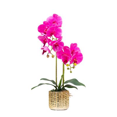 China Corrosion Resistance Home Decoration Artificial Silk Orchids Latex Touch Real Orchid Flowers Decorative Phalaenopsis With Gold Pot for sale