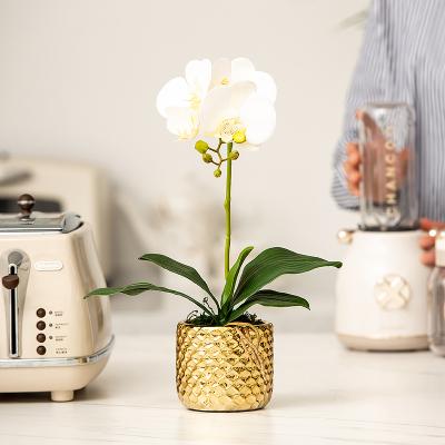 China Corrosion Resistance Real Touch Orchid High Quality Branch Pot Artificial Orchid Flowers For Wedding Party Home Decoration for sale