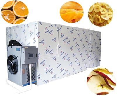 China Easy Operation CE Certification Large Capacity Industrial Fruit Lemon Apple Pineapple Dryer Dried Food Made In China Machine for sale