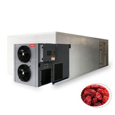 China Plant Guava /Cranberries /Bayberry/ Lychee plantain /dragonfruit dryer, commercial food dryer for sale