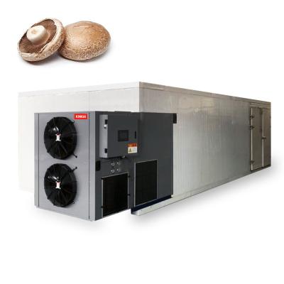 China Factory high efficiency commercial cnc bamboo shoot /mushroom /mushroom dehydrator,vegetable dryer equipment for sale