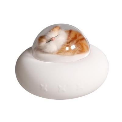 China Modern Adorable Cat Dirigible Mold New Best Gift Rechargeable Battery Operated Night Light Pat Change Colors For Women for sale