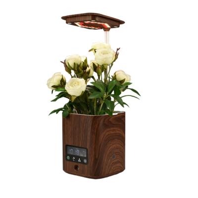 China China CLASSIC Desk Plant Smart Pot Table Lamp with Air Purifier Humidifier and Speaker Clock Date Week Temperature Display for Office for sale