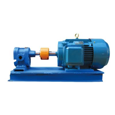 China Hot Selling Automotive Industry Electric Motor Gear Oil Pump Oil Power Pneumatic Gear Pump for sale