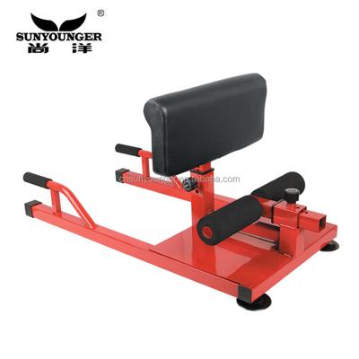 China Home Use Home Exhaust Sissy Squat Push And Sit Machine 3 In 1 Station Squat Bench for sale