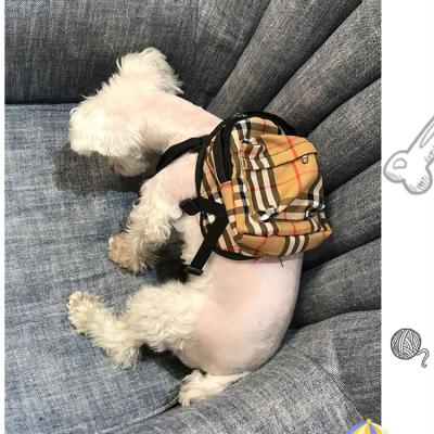 China Breathable Fashion Pet Backpack Dog Control Backpack Pet Going Out Backpack With Rope Pet Supplies for sale