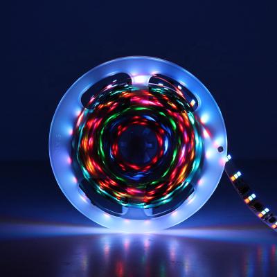 China Garden 5 Meters Smart 5050 2835 LED 10m Led Strip Lights Tuya rgb remote control Set Strip for sale