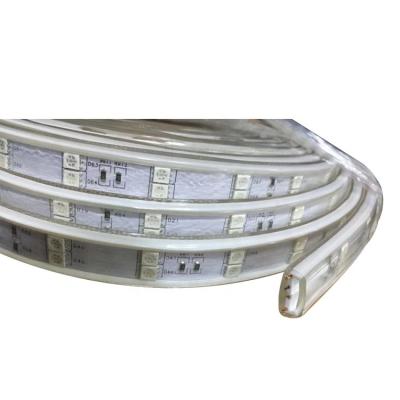 China Garden Best selling waterproof neon Strips lights with high quality Flexible LED Strip Light rgb for Wholesale for sale