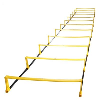 China Durable Multifunctional 5M Speed ​​Ladder 2-in-1 Sports Agility Ladders Football Training Ladder for sale