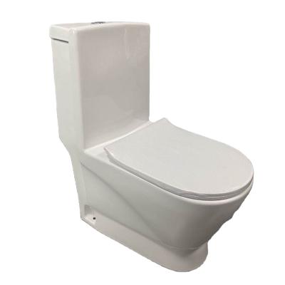 China High Quality Design Western Chinese Double-Flow One-Piece Third Party White Chemical Toilet for sale