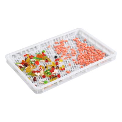 China Food Agriculture Plastic Tray Best Price PP Drying Trays Food Grade For Paintballs And Soft Capsule With Net Hole for sale