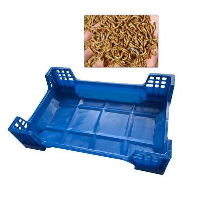 China Recyclable Silkworms Redworms Insect Breeding Box Plastic Insect Breeding Box Mealworms Breeding Tray for sale