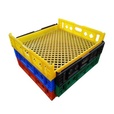 China Hot Sale Recyclable Egg Transport Box Plastic Folding Crate For Bread Crate for sale