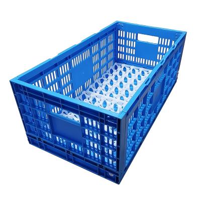 China Factory Price Recyclable Foldable Stackable Stackable Plastic Chicken Egg Transport Crates For Chicken Poultry Farming Packing And Transport for sale