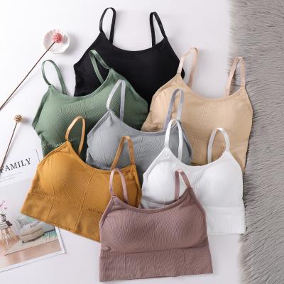 China Breathable Manufacturers Lead Sales Push Up Wrap Free Bra Wire Chest Breathable Yoga Sports Bra for sale