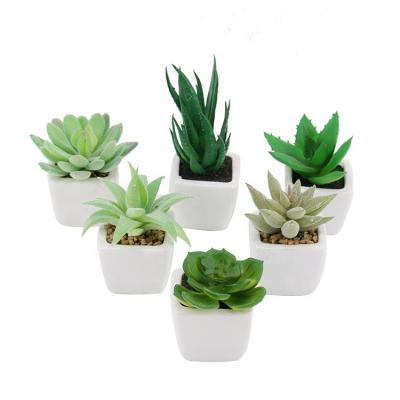 China Durable Artificial Mini Desktop Decoration Fake Tulips Plastic Succulent Plants In Ceramic Pot for sale