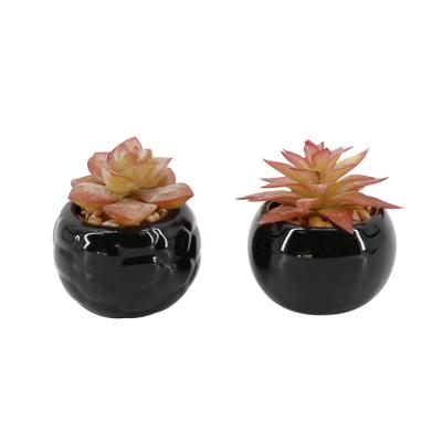 China Cheap Indoor Home Decor Plant Mini Artificial Succulent Pot High Quality Durable Ceramic for sale