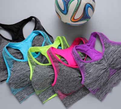 China Nylon/Cotton Process Color Paint Seamless Fashion Easy To Clean Removable Chest Pad No Rims Yoga Sport Running Bra for sale