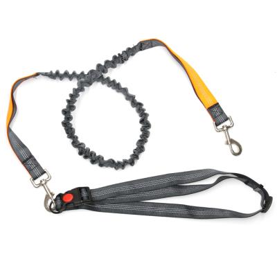 China Viable Bungee Dog Leash for sale