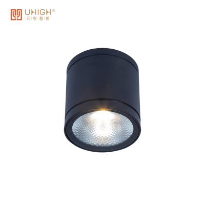 China New and Simple Design Garden Waterproof IP65 LED Ceiling Light Ceiling Lamp for sale