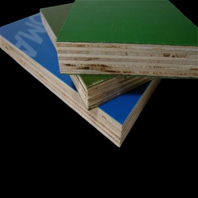 China Industrial Green Color PP Plastic Coating Film Faced Phenolic Plywood Board for sale