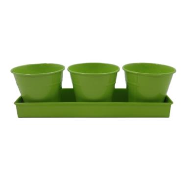 China Manufacturer Unique Flower/Green Plant Metal Powder Coating Tray Green Flower Garden Pot Set Of 3 for sale