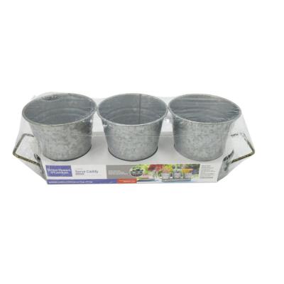 China CLASSIC Simple Design Galvanized Metal Flower Netting Gardening Pot Set Of 3 With Tray for sale