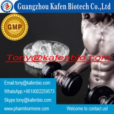 China Male Hormone Fitness Anabolic Steroids Powder 862-89-5 Nandrolone Undecylate / Dynabolon for sale