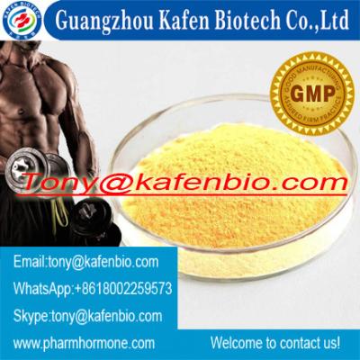 China Anabolic Raw Steroid Powder Trenbolone Base for Muscle Building for sale