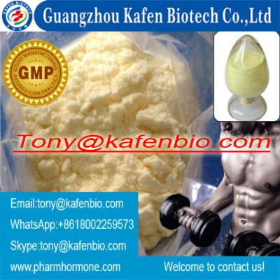 China testAnabolic Testosterone Steroid Hormone Raw Powder Nandrolone Decanoate 360-70-3 Light white powder, odourless for sale