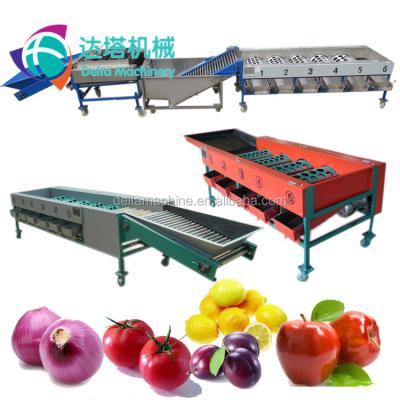 China Fruit Processing Equipment / Tomato Garlic Sorting Grading Line for sale