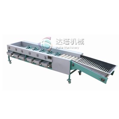 China For Grading and Sorting Round or Oval Root Vegetables and Fruit Potato Sorter Mango Sorter Fruit Grading Machine for sale