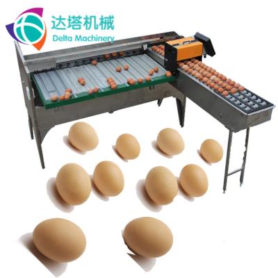 China Weight Rating Electric Chicken Egg Sorter/Weight Sorting Machine/Egg Sorting Machine for sale