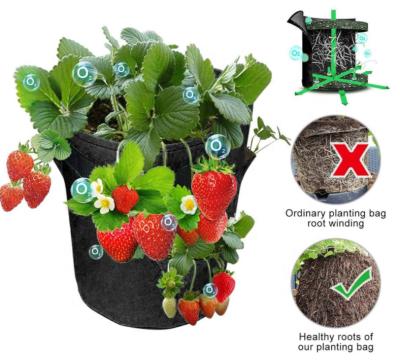 China Breathable Amazon 5 7 10 GallonFruit Mushroom Potato Strawberry Planting Round Garden Cloth Felt Pot for sale