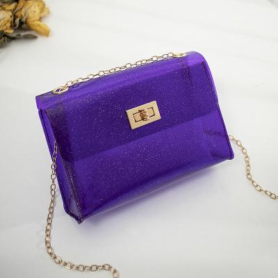 China Durable Ladies Fashion Transparent Mini Shoulder Chain Bags Simple Beach Custom Women Freeze Cross - Body Bag for sale