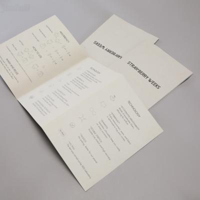 China Printing Folded Custom Mini Booklet Products Guidelines Print Instruction Booklet for sale