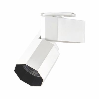 China Modern COB 35W Zoomable Irregular Track Light Shop Focus Track Light for sale