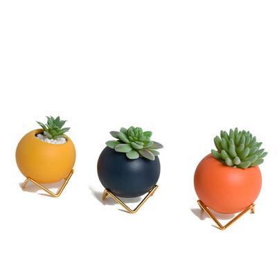 China Cartoon Creative Ceramic Vase Modern Simple Home Garden Succulent Pot for sale