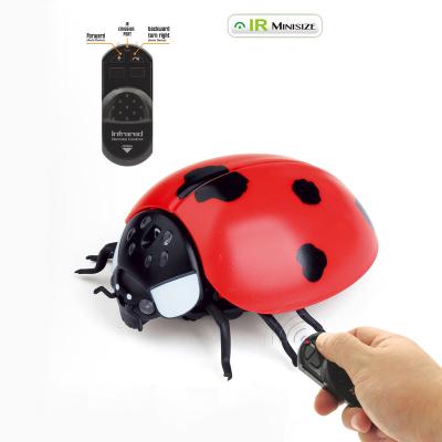 China Education Toys Rc Ladybird Electronic Smart Bug Kids Toys Ladybug Walking Gift Best For Kids Infrared Remote Control Toy for sale