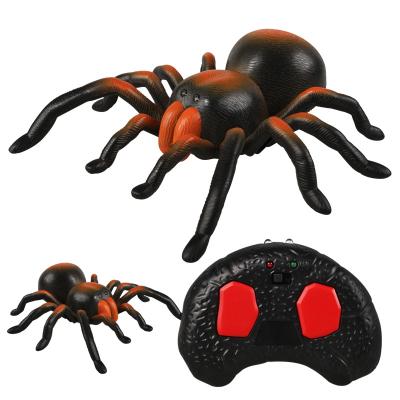 China Education Toys Prank Shape Children Realistic Remote Control Simulation Insects Glowing Spider Toy For Kids for sale