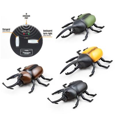 China Education Toys Infared Hot Sale Wireless Remote Control Beetle Simulation Mini Insect Toy For Kid Radio Control Electronic Toy for sale