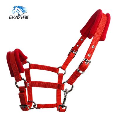 China Wide PP Webbing 20MM PP Strap Horse Halter. Nickel plated metal fittings.with fleece cushion, with eyelet. for sale