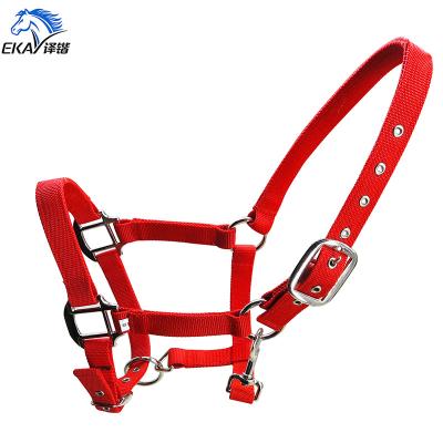 China Wide 25MM PP Strap Horse Halter. Nickel plated metal fittings, with eyelet. for sale