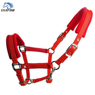 China Wide PP Webbing 20MM PP Strap Horse Halter. Nickel plated metal fittings.with fleece cushion, with eyelet. for sale