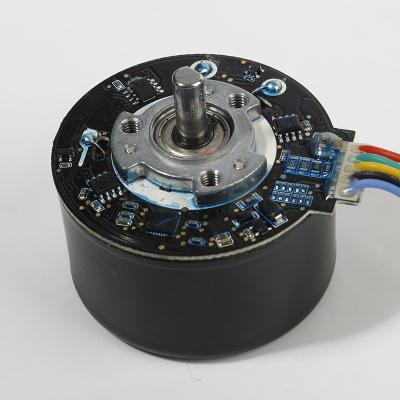 China Motor sem escovas de 55 mm de alto torque 3830 RPM Massageador BLDC Motor 24V à venda