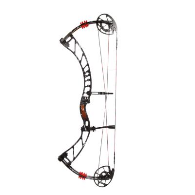 China Hunting Accmos Gear X10 Hunting Compound Bow ATA 33.4