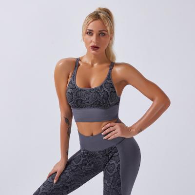 China 2021 Newest Breathable Workout Bra Neon Leopard Snakeskin Set Seamless And Sports Gaiters For Women for sale